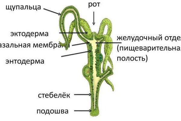 Кракен маркет даркнет только через тор